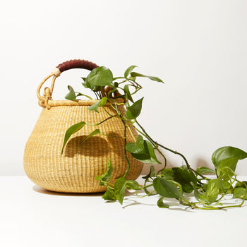 Cauldron Pot Basket OG